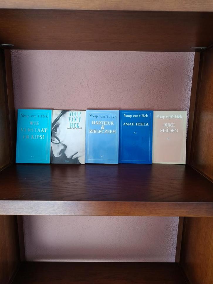 Youp van 't Hek - Wie verstaat er kips?, Boeken, Literatuur, Zo goed als nieuw, Ophalen of Verzenden