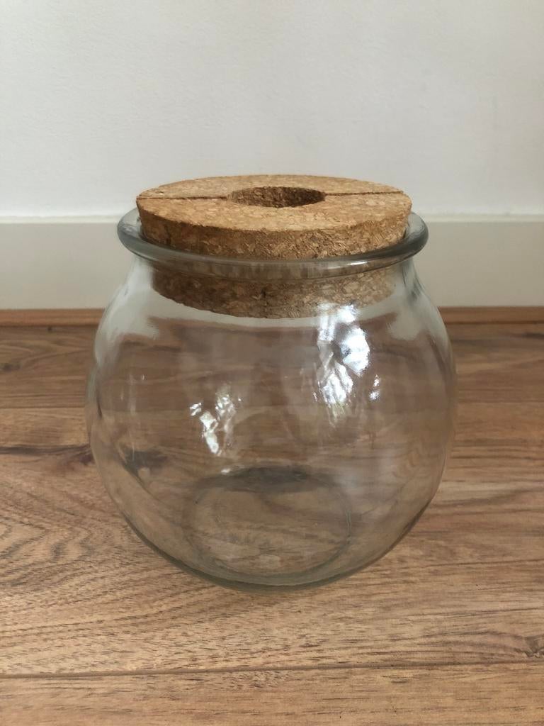 Glazen pot voor planten of stekken, Overige materialen, Gebruikt, Rond, Binnen