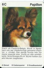 Kwartetkaart Papillon / vlinderhondje, Ophalen of Verzenden, Gebruikt, Overige soorten, Overige typen