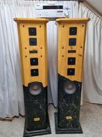 Zeer mooie exclusieve hoge boxen. Rookvrij huis., Ophalen, Zo goed als nieuw, 120 watt of meer, Front, Rear of Stereo speakers