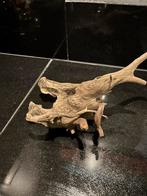 Kienhout, Dieren en Toebehoren, Vissen | Aquaria en Toebehoren, Ophalen of Verzenden, Plant(en), Steen of Hout