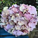 Hoogwaardige Zijden Hortensia's Kunstbloemen Sober Landelijk, Ophalen of Verzenden, Nieuw, Binnen