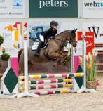 Lieve, brave, allround welsh B pony, Dieren en Toebehoren, Pony's, Merrie, Springpony, 7 tot 10 jaar