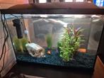60 liter aquarium superfish, Dieren en Toebehoren, Vissen | Aquaria en Toebehoren, Ophalen of Verzenden, Zo goed als nieuw, Leeg aquarium