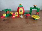 Duplo grote set Little  Forest Friends, Kinderen en Baby's, Speelgoed | Duplo en Lego, Ophalen of Verzenden, Zo goed als nieuw