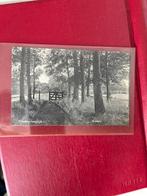 Ansichtkaart Ermelo - Beukenlaantje 1928, Ophalen of Verzenden, 1920 tot 1940, Gelopen, Gelderland