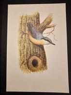 Boomklever, Verzenden, 1980 tot heden, Zo goed als nieuw, Dier