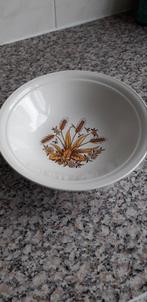 Verschillende borden en 1schaal (nieuw), Ophalen, Nieuw, Glas, Bord(en)
