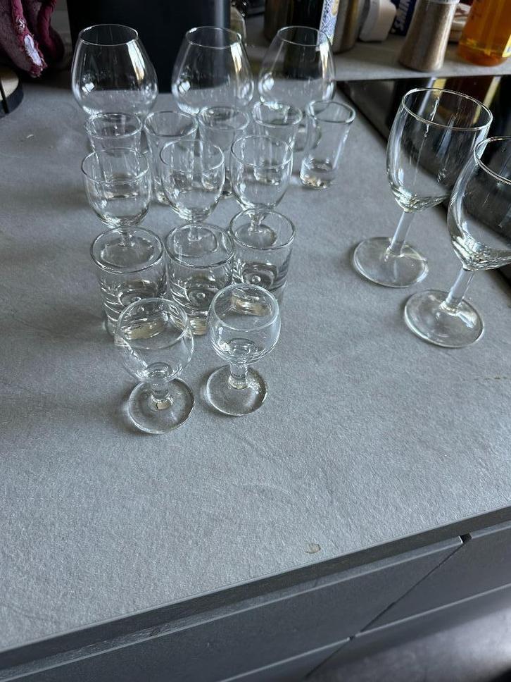 18 borrel glazen in de mix, Verzamelen, Glas en Borrelglaasjes, Zo goed als nieuw, Borrel- of Shotglas, Ophalen of Verzenden