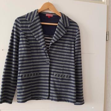 Blauw Grijs Gestreept Jasje Maat M beschikbaar voor biedingen