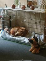 Te koop honden bench, Dieren en Toebehoren, Ophalen, Zo goed als nieuw