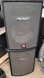Set lege Peavey kasten voor de hobbyist, Raadsheerenhoek, Niet werkend, 120 watt of meer, Info@universal-licht-geluid.nl