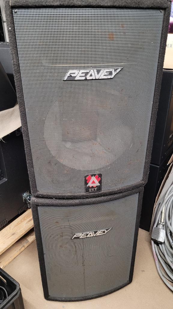 Set lege Peavey kasten voor de hobbyist, Audio, Tv en Foto, Luidsprekers, Niet werkend, Overige typen, 120 watt of meer, Overige merken