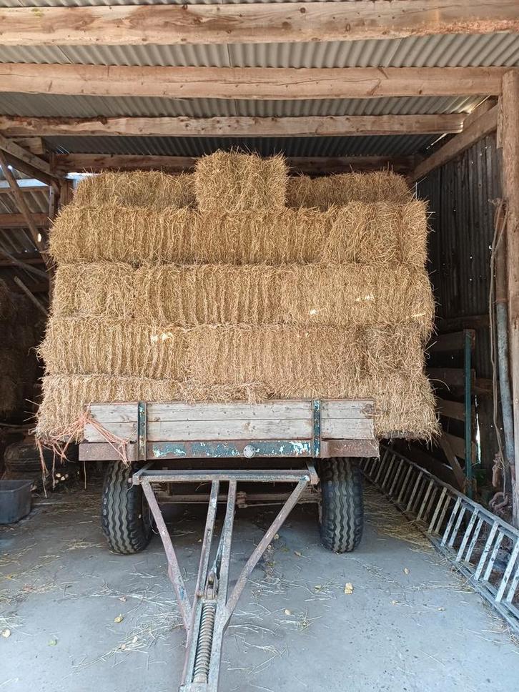 Mooi 2e snede weide hooi, Dieren en Toebehoren, Dierenvoeding, Vee, Ophalen of Verzenden