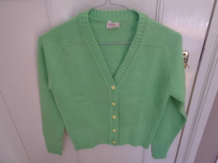 CAMARGUE vestje:mt S/M, Kleding | Dames, Truien en Vesten, Zo goed als nieuw, Maat 38/40 (M), Groen, Ophalen of Verzenden