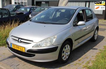 Peugeot 307 1.6-16V XSI 5-Deurs IJSKOUDE Airco Cruise Elec.  beschikbaar voor biedingen