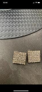 Zilverkleurige Broche Set, Overige materialen, Minder dan 4 cm, Nieuw, Zilver