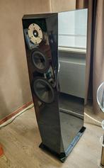 Focus Audio FP90, Audio, Tv en Foto, Luidsprekers, Zo goed als nieuw, 120 watt of meer, Front, Rear of Stereo speakers, Ophalen