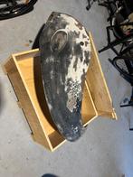 Vw kever achter spatborden oude types, Auto-onderdelen, Carrosserie en Plaatwerk, Gebruikt, Spatbord, Achter, Verzenden