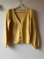 Nieuw vest van Fabienne Chapot, Ophalen of Verzenden, Nieuw, Geel