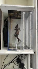 TV kast met aquarium, Ophalen, Zo goed als nieuw, Leeg aquarium