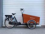 Azor Bakfiets Trike classic narrow 500 Wh 50cm, 4 kinderen of meer, Gebruikt, Elektrisch, Ophalen
