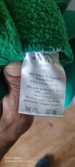 Cars Hoody - Groen, Ophalen of Verzenden, Zo goed als nieuw, Cars, Jongen of Meisje