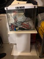 Aquarium complet met onderkast, Dieren en Toebehoren, Vissen | Aquaria en Toebehoren, Ophalen, Leeg aquarium