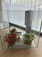 Aquarium met toebehoren, Dieren en Toebehoren, Vissen | Aquaria en Toebehoren, Ophalen, Zo goed als nieuw, Leeg aquarium