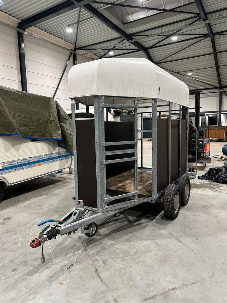 Paardentrailer - Opknapper, Auto diversen, Aanhangers en Bagagewagens, Gebruikt, Ophalen of Verzenden