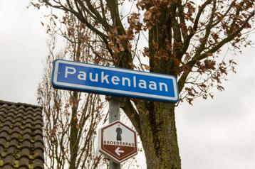 NIEUW! Woonruimte te huur Paukenlaan, Dongen beschikbaar voor biedingen