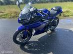 TRMOTOR GP one, Bedrijf, Sport, TRMOTOR