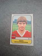 Panini sticker Voetbal 82. Cees Schapendonk MVV Maastricht., Verzenden, Zo goed als nieuw, Sticker