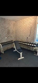 Dumbells, Sport en Fitness, Fitnessmaterialen, Dumbbell, Ophalen