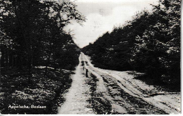 APPELSCHA - BOSLAAN, Verzamelen, Ansichtkaarten | Nederland, Gelopen, Friesland, 1960 tot 1980, Ophalen of Verzenden
