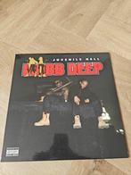 Mobb Deep - Juvenile Hell vinyl LP. Nieuw in seal., Cd's en Dvd's, Vinyl | Hiphop en Rap, 1985 tot 2000, Ophalen of Verzenden