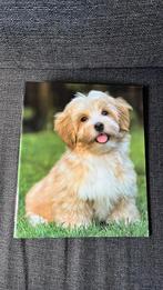 2-rings Multomap met afbeelding van een hond., Diversen, Ophalen, Gebruikt