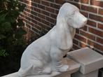 Stenen basset hound hond beeld voor in de tuin of terras, Verzamelen, Ophalen, Zo goed als nieuw, Dier