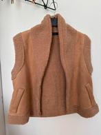Gilet suede met teddy L, Ophalen of Verzenden, Zo goed als nieuw, Maat 42/44 (L), Beige