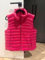 Ralph Lauren bodywarmer XL roze., Ophalen of Verzenden, Zo goed als nieuw, Maat 46/48 (XL) of groter, Roze