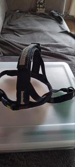 Beeztees honden tuigje voor puppy, Dieren en Toebehoren, Ophalen