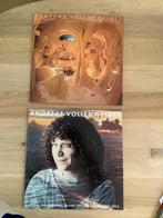 Andreas Vollenweider( Caverna Magica & Behind  the gardens), Cd's en Dvd's, Vinyl | Pop, Ophalen of Verzenden, 1980 tot 2000, Gebruikt
