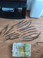 19 Lady Amherst fazant veren taxidermie fazant vogel, Ophalen of Verzenden, Gebruikt, Vogel, Overige typen