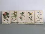 Norderns Flora Botanische boeken, Boeken, Ophalen of Verzenden, Bloemen, Planten en Bomen