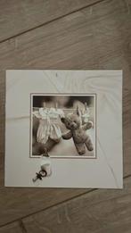 Dylan, Ophalen of Verzenden, 2000 tot heden