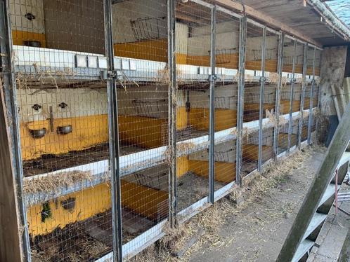 Konijnenhokken, Dieren en Toebehoren, Knaagdieren en Konijnen | Hokken en Kooien, Gebruikt, Hok, 60 tot 90 cm, 110 cm of meer