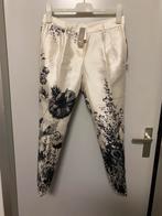 Dames broek, Ophalen of Verzenden, Nieuw, Maat 34 (XS) of kleiner