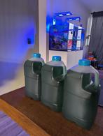 Phytoplankton, Ophalen of Verzenden