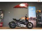 Harley Davidson Tour LiveWire one First Strike nr 428 van 50, Traction Control, Bedrijf, Maeijer Motors, Meer dan 35 kW