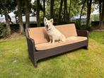 Loungebank, tuinbank tuinmeubilair, buitenbank, tuinmeubel, Ophalen, Gebruikt